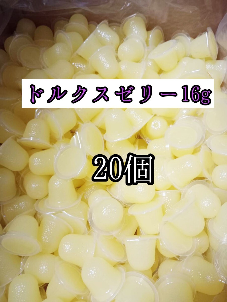 昆虫ゼリー フジコン ドルクスゼリーS16g 20個 クワガタ カブトムシ オオクワガタ フクロモモンガ ハムスター ハリネズミ 小動物拍卖