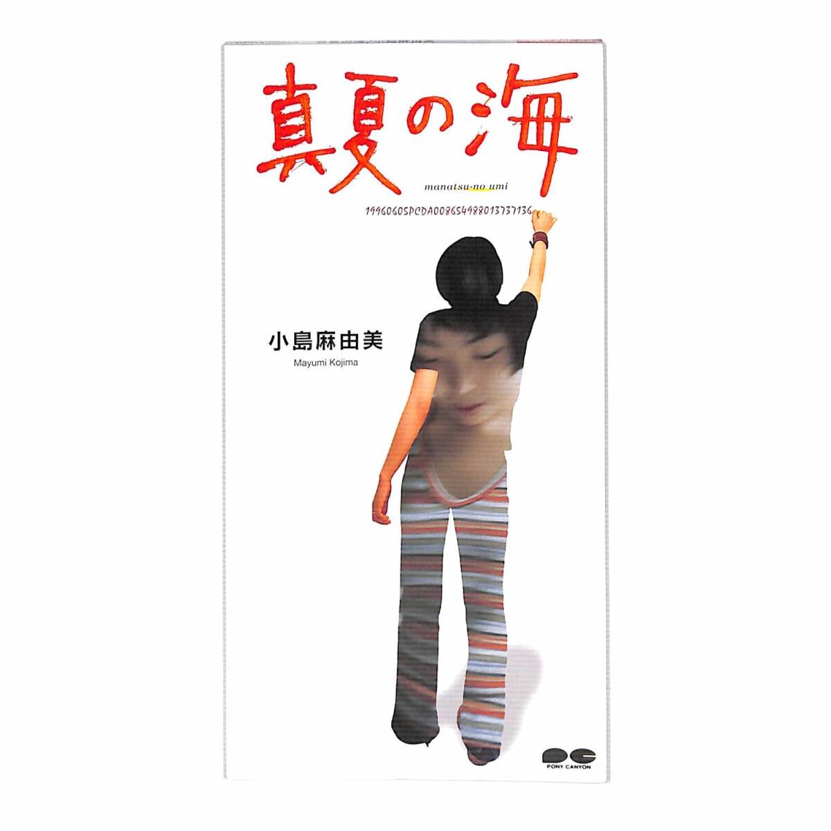 f1032/CDS/短冊/小島麻由美/真夏の海拍卖