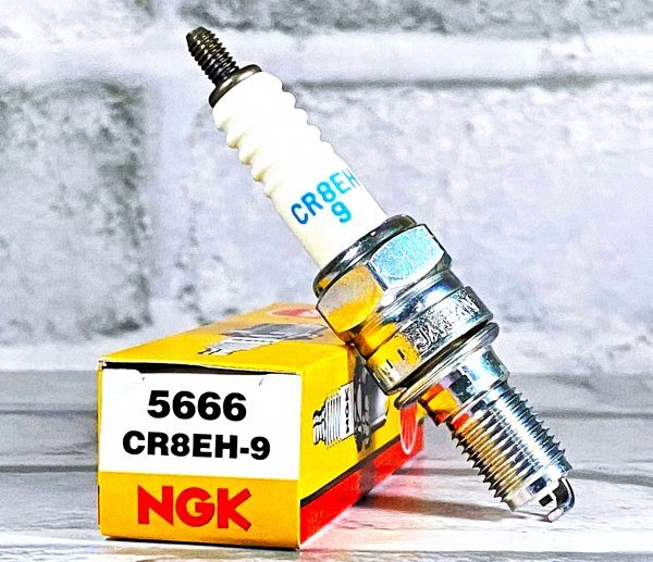 NGK CR8EH-9 (5666) 新品 送料込 ホンダ CBF1000 ('06~) 適合拍卖