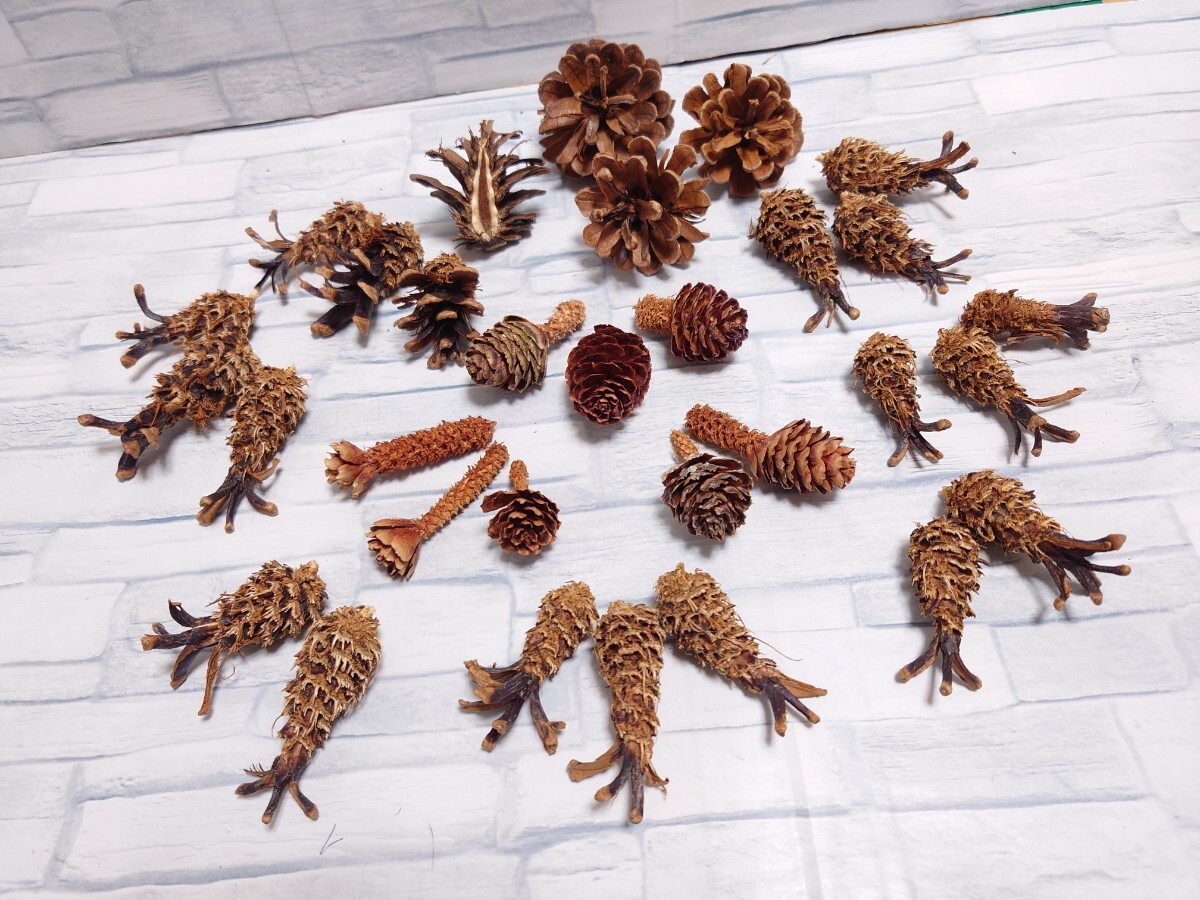 【森のエビフライ★食べかけのエビフライ】4〜5cm☆31個  松ぼっくり まつぼっくり 飾り ハンドメイド アレンジ リース 素材 I−79拍卖