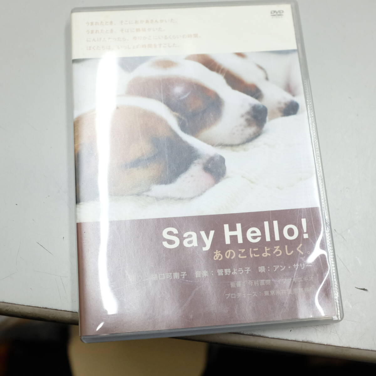 DVD Say Hello! あのこによろしく。 /イワサキユキオ (原作、監督) 今村直樹 (監督) 樋口可南子 (ナレーション拍卖