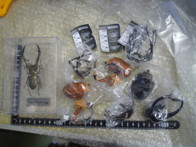 いきもの大図鑑 かぶとむし06 まとめて おまけ付き エラフスホソアカクワガタ フィギュア 標品模型 現状渡し品拍卖
