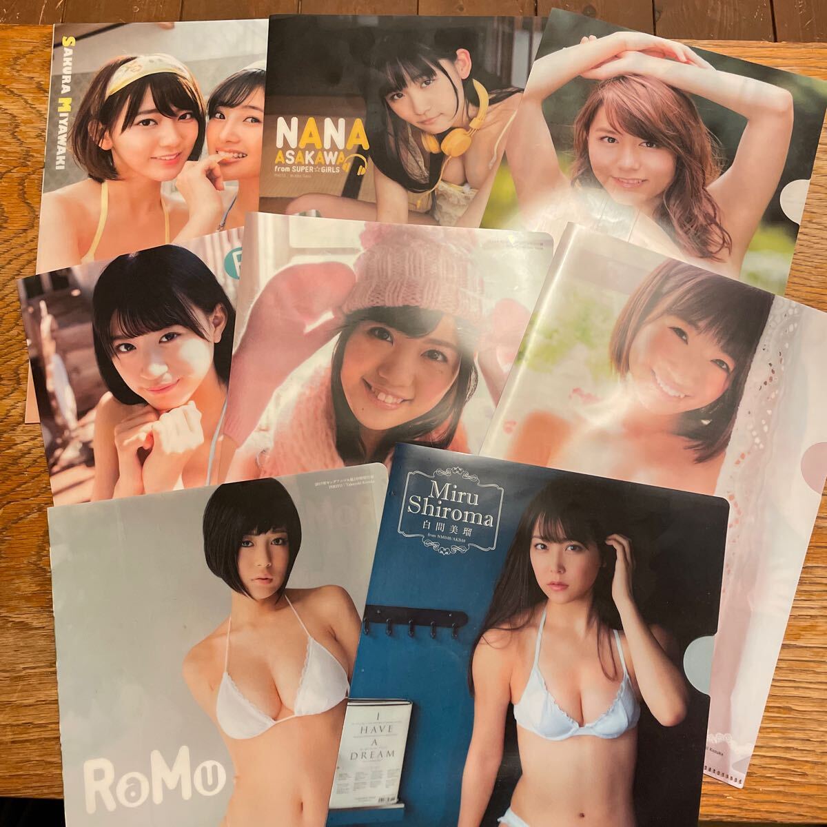 ヤングアニマル 2016〜2017 付録のみ アイドル クリアファイル拍卖