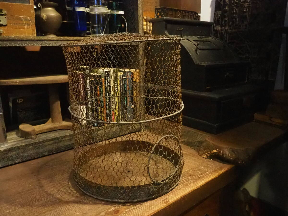 【昭和昭和レトロな鉄製の鳥かご】バードゲージ古道具アンティーク骨董インテリア花かごインダストリアルフックガーデニングドライフラワー拍卖