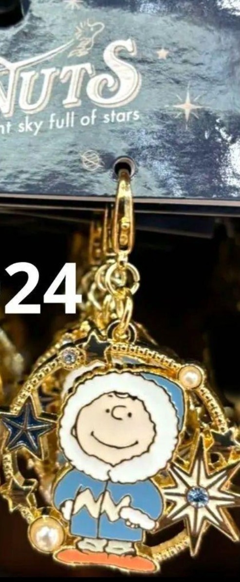 USJ 限定 ユニバ クリスマス チャーリーブラウン チャーム SNOOPY スヌーピー拍卖