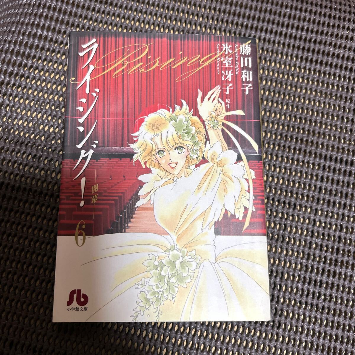 ライジング! 6 (小学館文庫) 藤田和子/著 氷室冴子/k1208拍卖