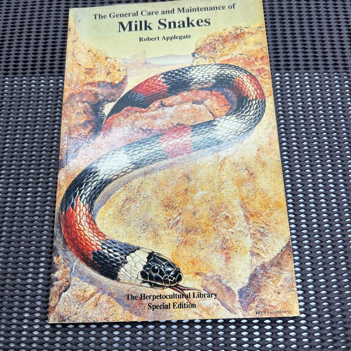 洋書/爬虫類/Milk Snakes/B241224-21*21拍卖