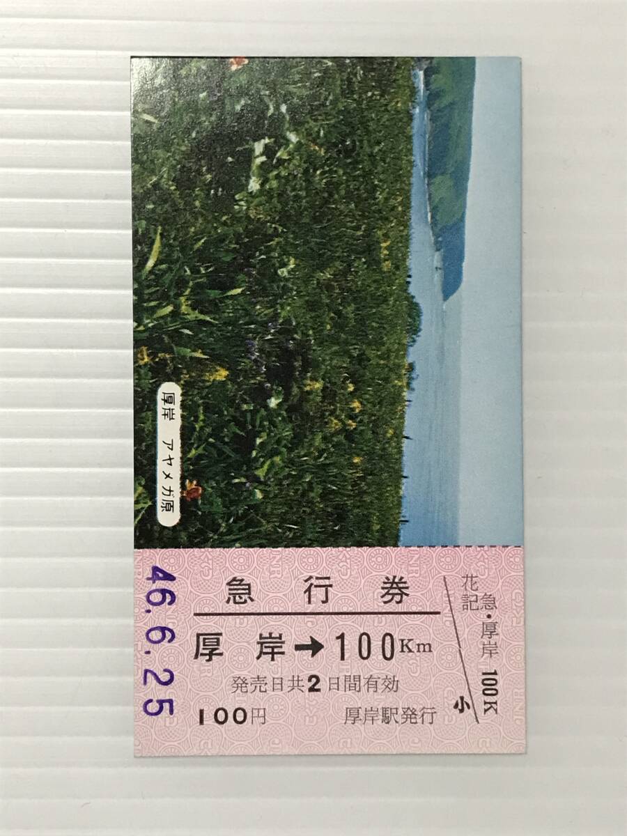 昔の切符 記念切符 花の北海道記念急行券 厚岸駅発行 S46  HF6012   くるり岸田繁拍卖