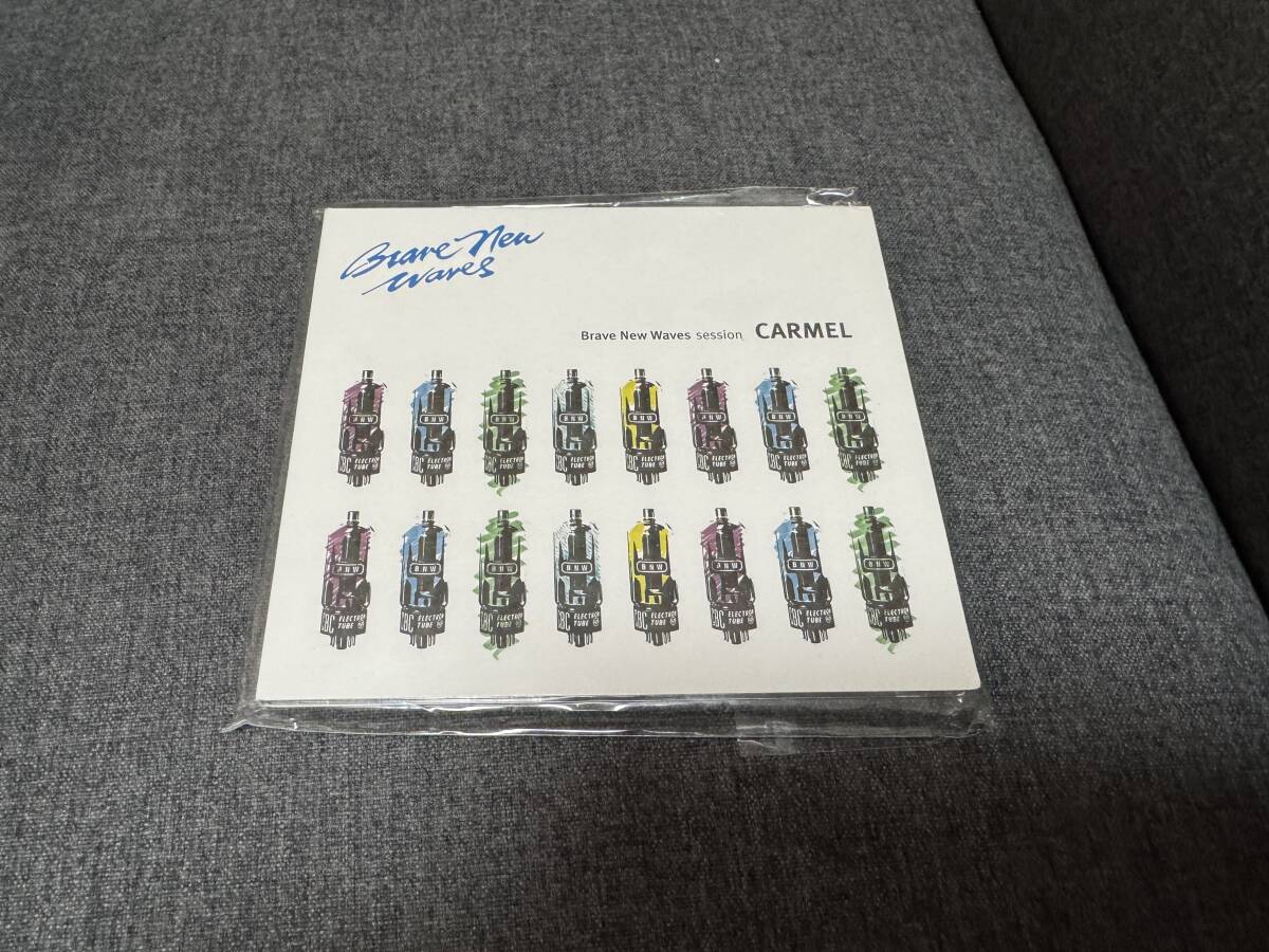 ★カーメル★Carmel/Brave New Waves. 輸入盤拍卖