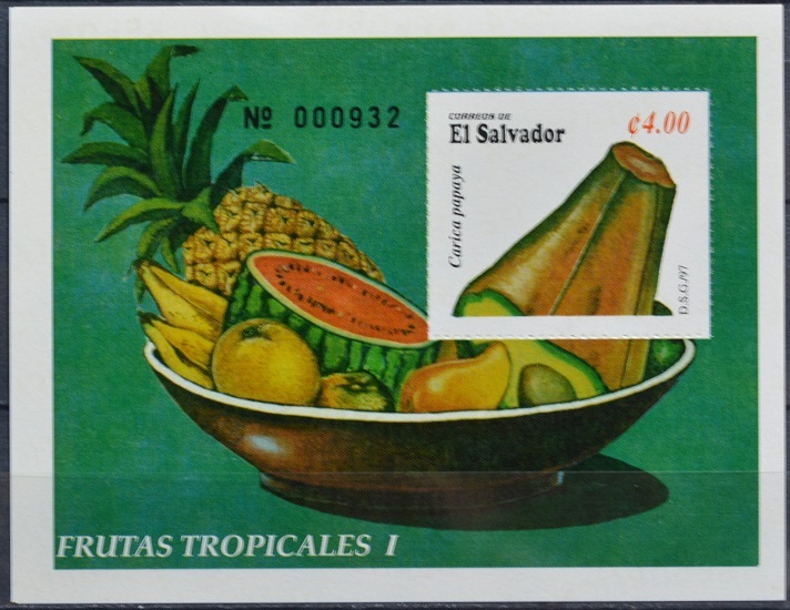 「TD134」エルサルバドル切手  フルーツ拍卖