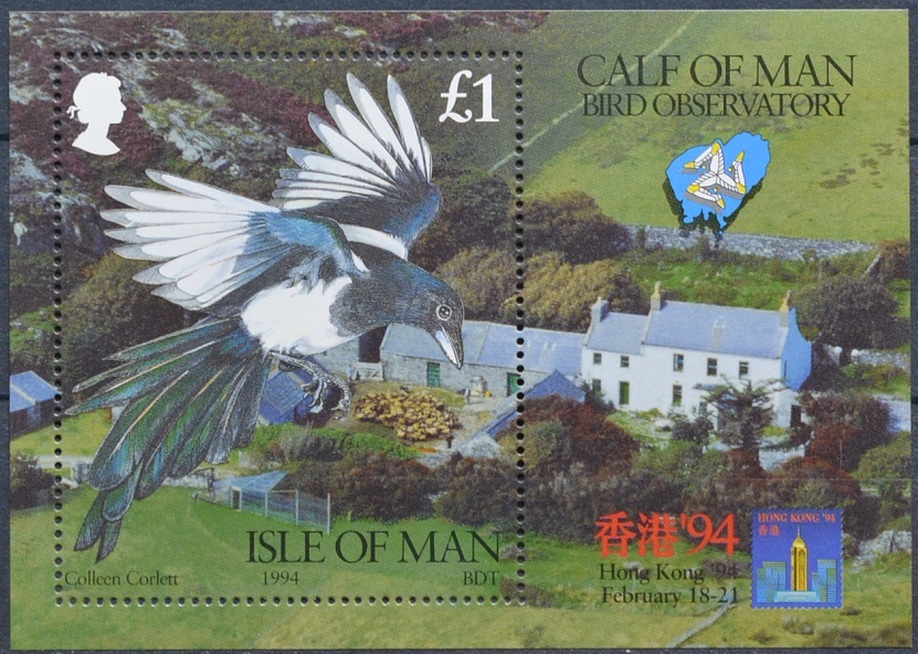 「TD300」マン島切手 1994年 鳥拍卖