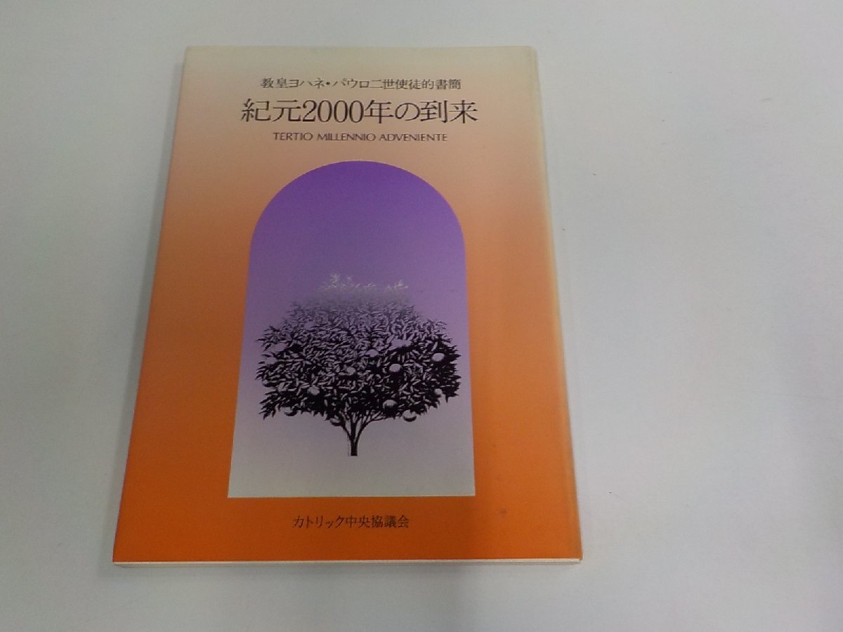 8V0257◆紀元2000年の到来 教皇ヨハネ・パウロ二世使徒的書簡 カトリック中央協議会 シミ・汚れ有 ☆拍卖