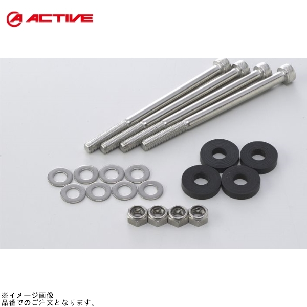ACTIVE アクティブ 1050013 ストレートコア用 ボルトセット 上下ステー用(1本セット) 10段拍卖