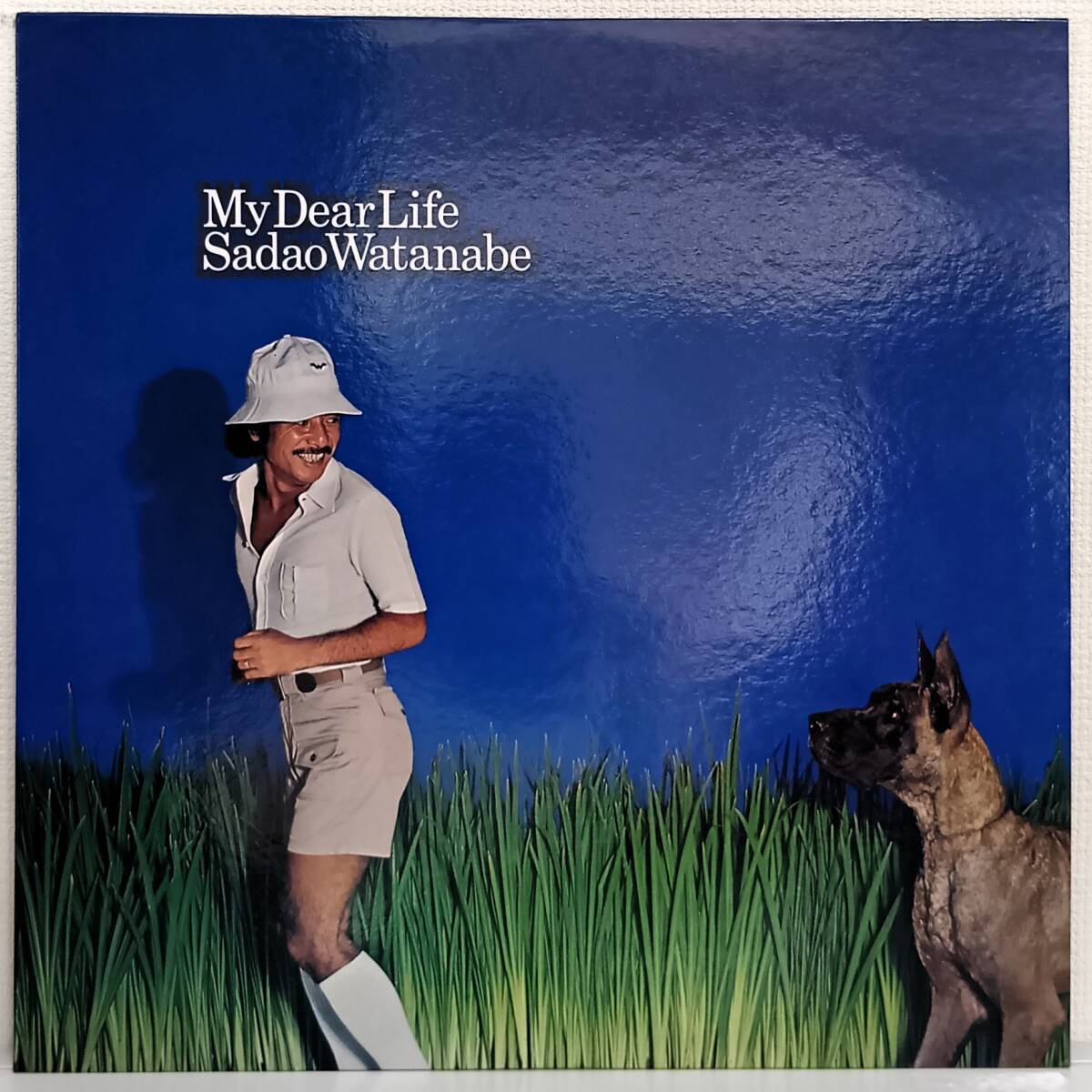 LP(VIJ-6001 '77年盤 ジャズ,ファンク/ソウル(Jazz,Funk/Soul) )渡辺 貞夫(Sadao Watanabe)/My Dear Life【同梱可能6枚まで】061218拍卖