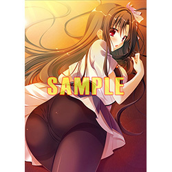 D.S. Dal Segno とらのあな特典 B2タペストリー /未開封拍卖