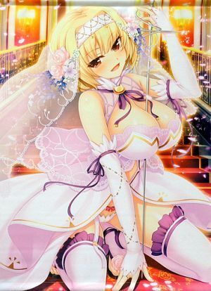 C93 ノラと皇女と野良猫ハート2 ルーシア WスエードB2タペストリー拍卖
