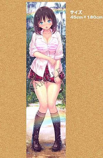 VALKYRIE DRIVE BHIKKHUNI/ヴァルキリードライヴ ビクニ WonderGOO特典タペストリー /未開封拍卖