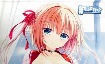 てんぷれっ!! ソフマップ特典 B2タペストリー拍卖