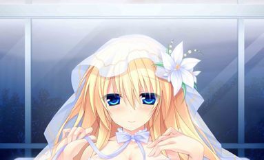 恋愛まで選択肢ひとつ ソフマップ特典 B2タペストリー /未開封拍卖