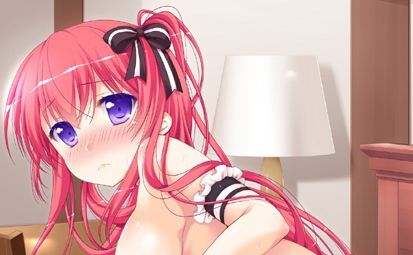 アンラッキーリバース ソフマップ特典 B2タペストリー /未開封拍卖