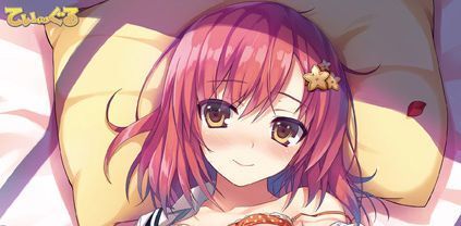 レミニセンス -Collectors Edition- 特典 B2タペストリー/トモセシュンサク拍卖