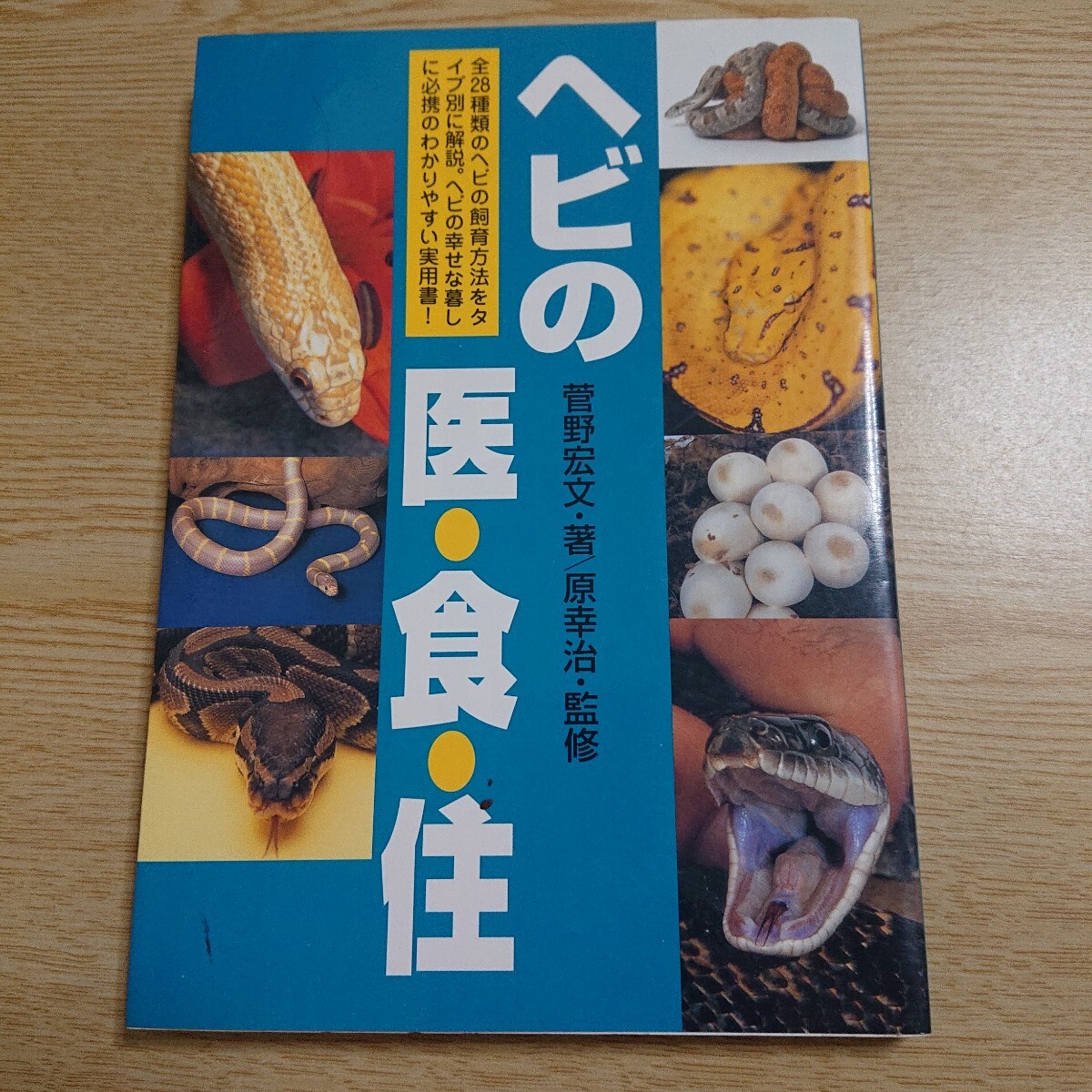 ヘビの医食住/菅野宏文 (著者) 原幸治拍卖