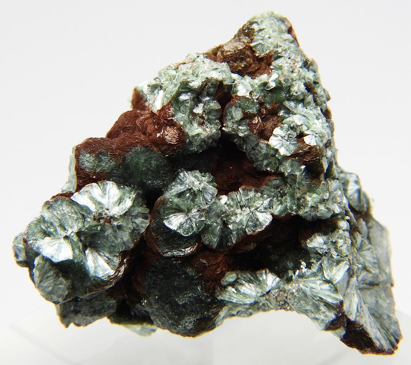 ☆☆ セラフィナイト <ロシア> 19 ☆☆拍卖