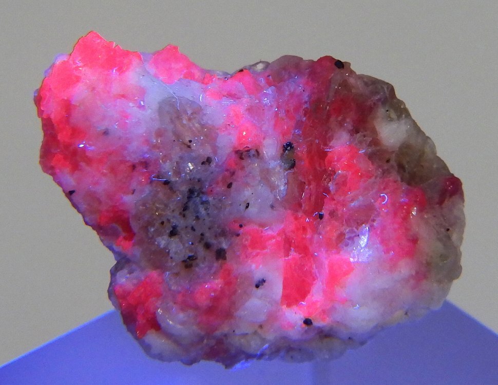 ☆☆ ルビー (蛍光) <パキスタン> 79 ☆☆拍卖