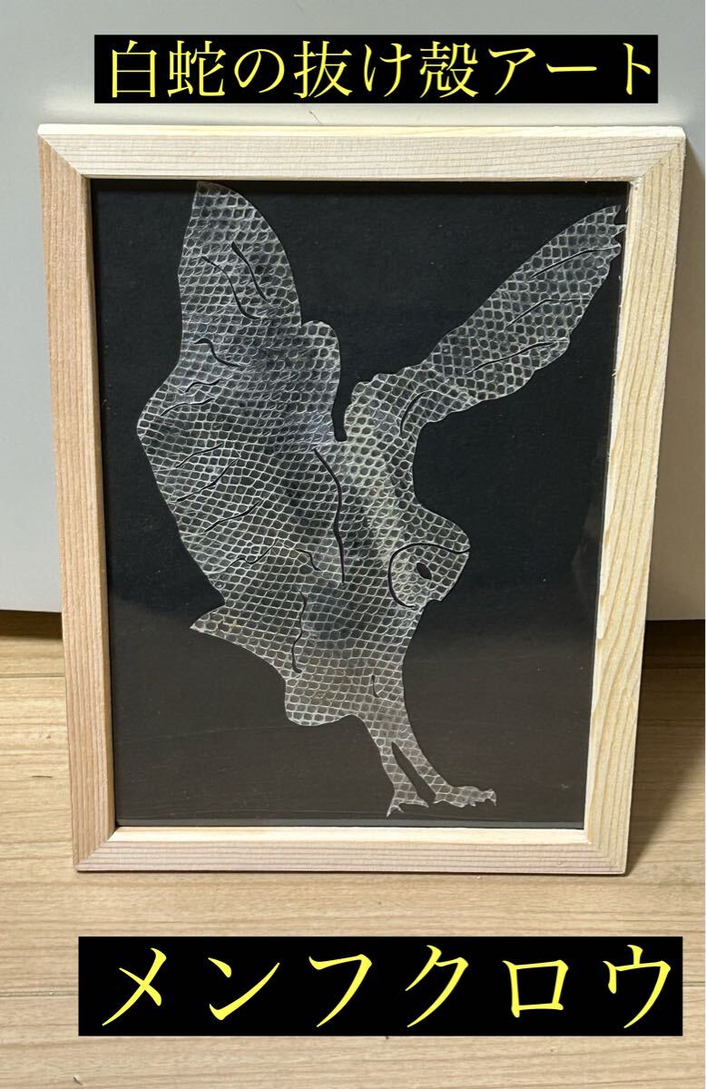 白蛇の抜け殻アート メンフクロウ 蛇の抜け殻 2025年 金運 開運 魔除け拍卖