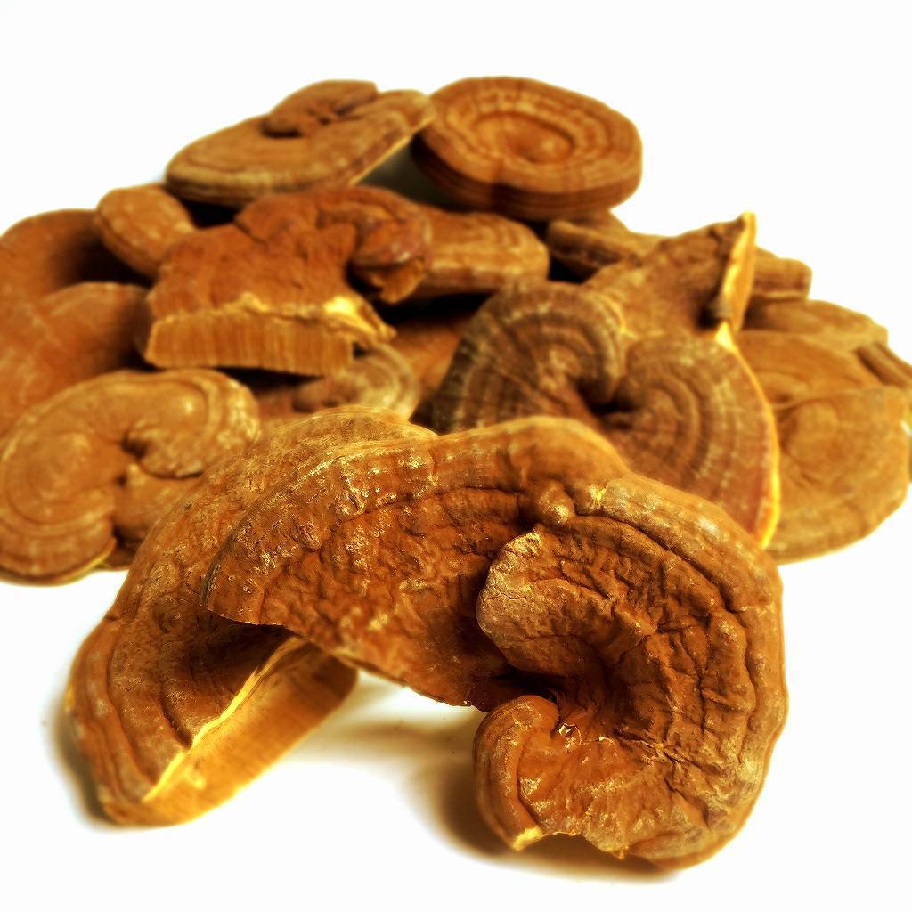 国産アウトレット霊芝 2kgB品(100g×20)(れいし レイシ)霊芝茶 漢方 サプリ拍卖