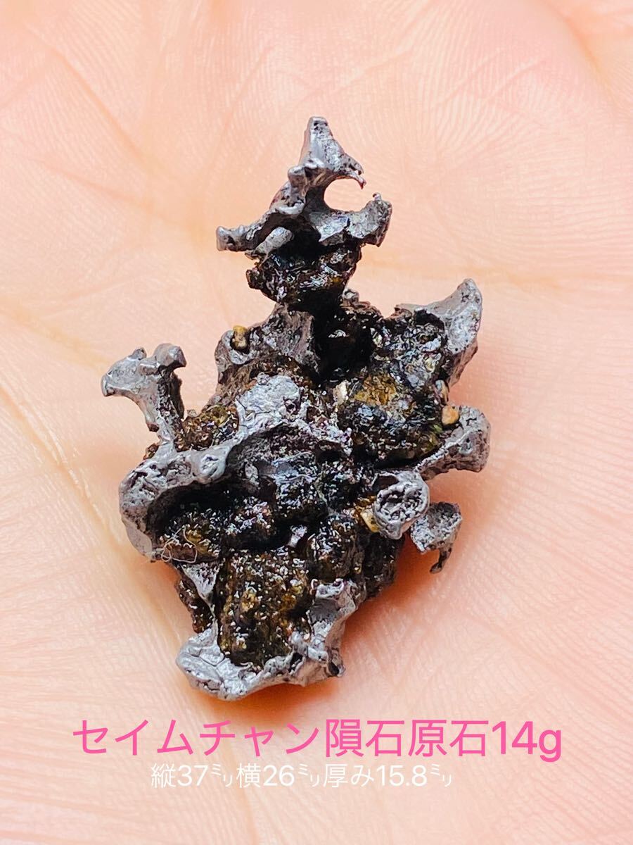 セイムチャン隕石小型原石 パラサイト セイムチャン隕石 ロシア 隕石 メテオライト37㍉ 14g パラサイト原石 原石 石鉄隕石拍卖