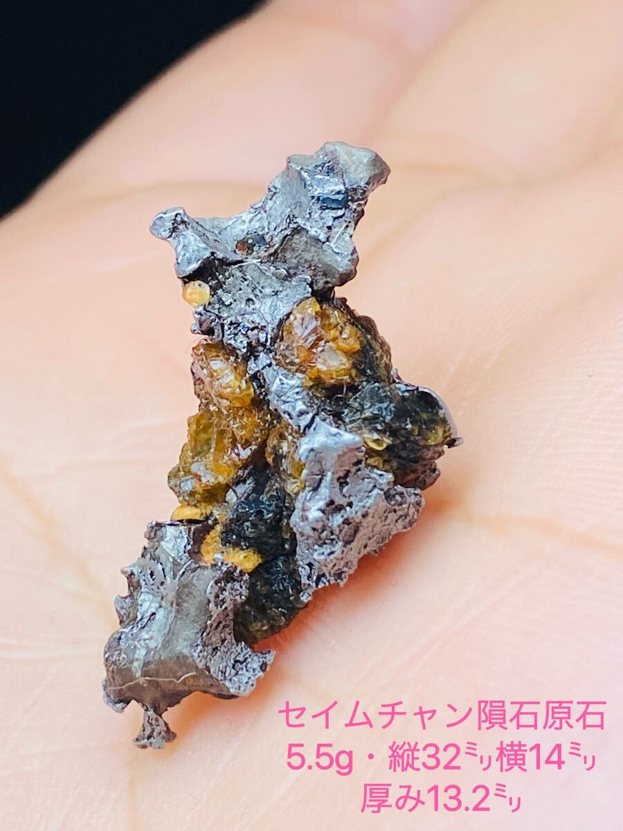 ★セイムチャン隕石原石 小型隕石 パラサイト セイムチャン隕石 ロシア 隕石 メテオライト 5.5g 32㍉ BIG 鉄隕石 かんらん綺麗拍卖