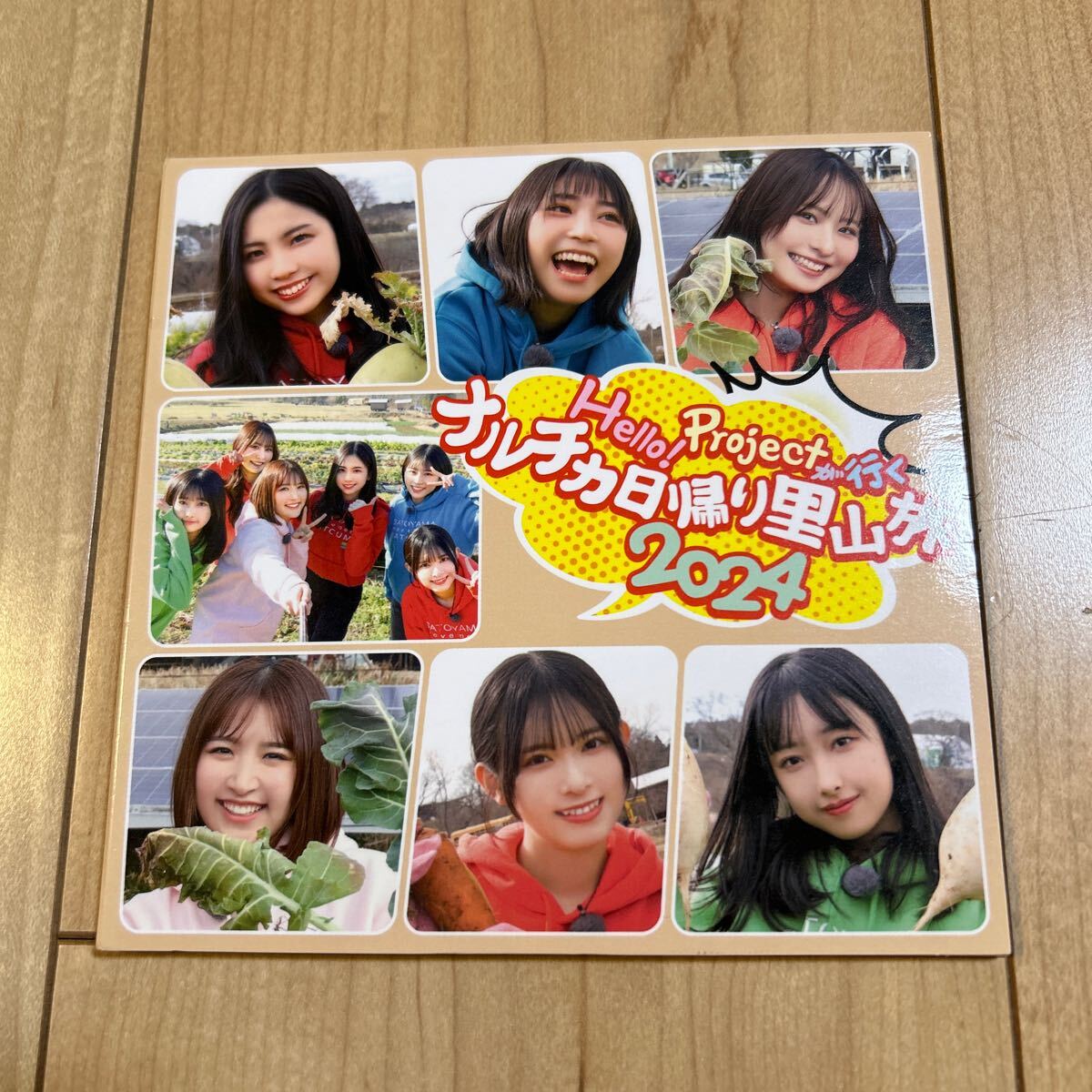 【DVD・レア盤】「Hello!Projectが行く ナルチカ日帰り里山旅2024」櫻井梨央 橋迫鈴 石山咲良 小野瑞歩 山﨑夢羽 北原もも拍卖