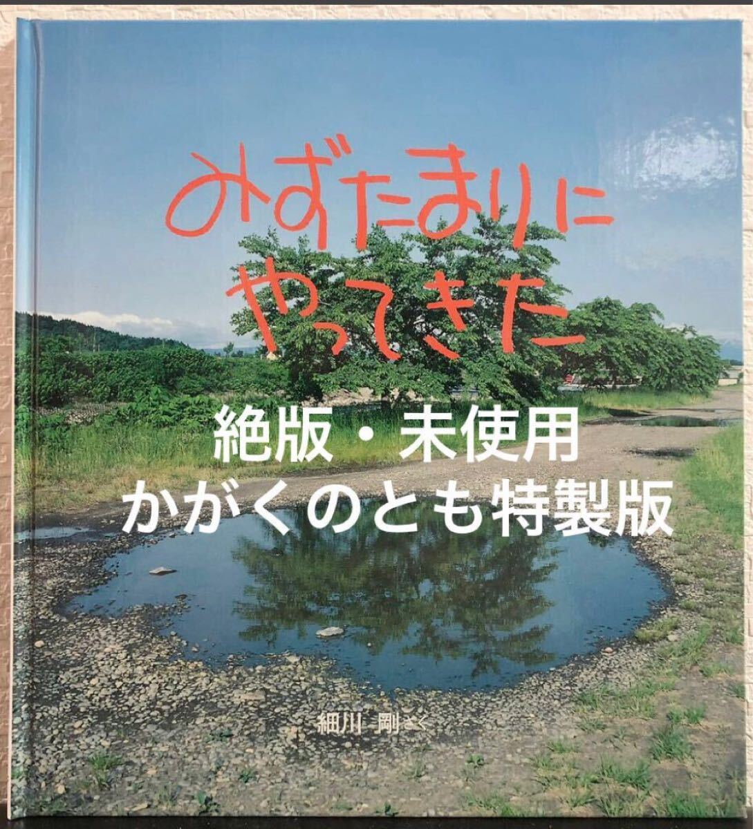 ◆絶版・未使用◆「みずたまりにやってきた」かがくのとも 特製版 細川剛 福音館 2015年 ハード本拍卖
