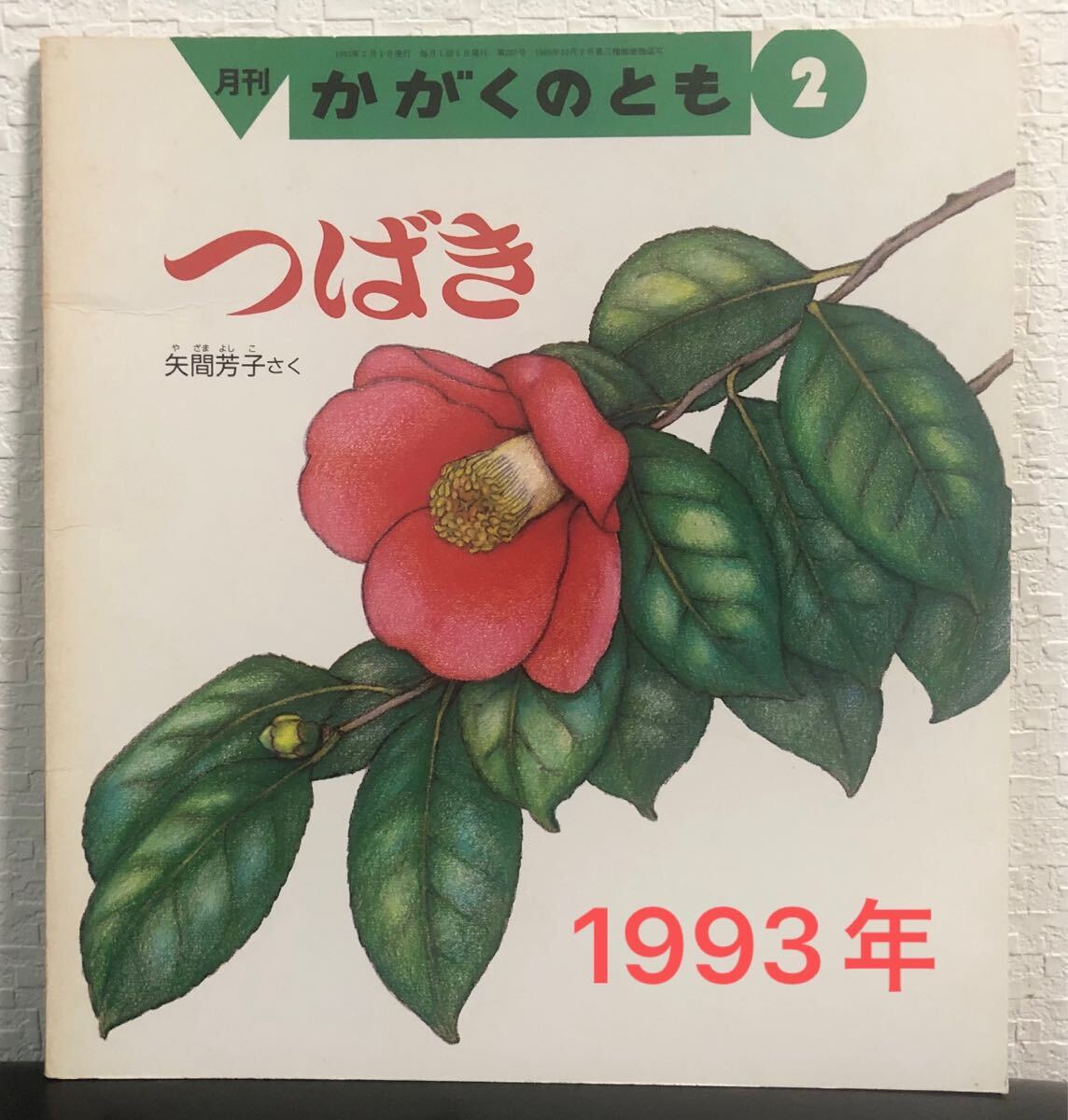 ◆当時物・絶版◆「つばき」か かがくのとも 矢間芳子 福音館 1993年拍卖