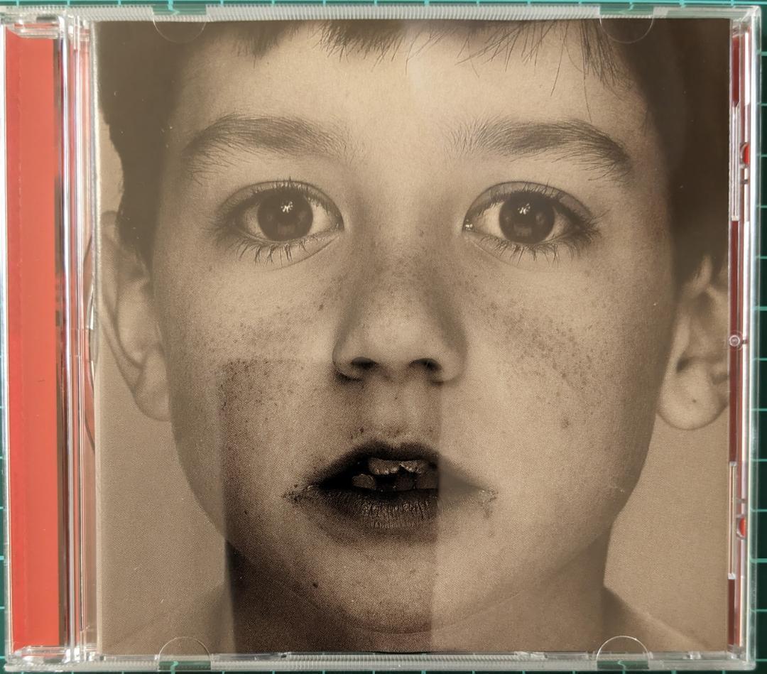 The Gray Race バッド・レリジョン 輸入盤CD拍卖