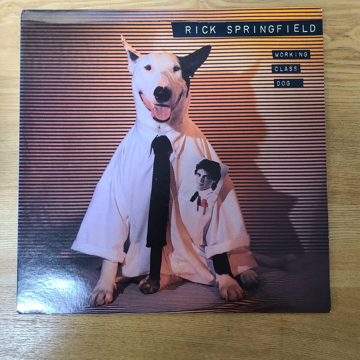 US盤 RICK SPRINGFIELD/WORKING CLASS DOG AFL1-3697 B1202-060拍卖