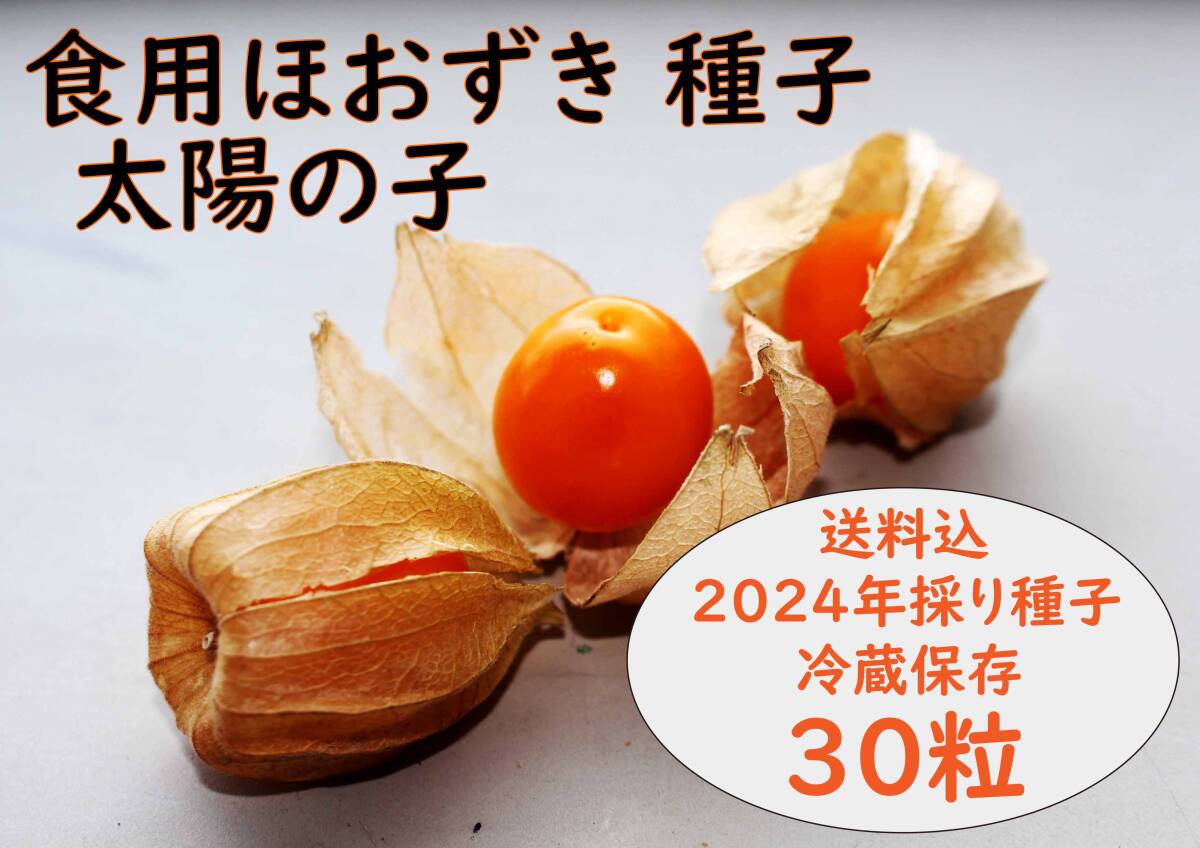 食用ほおずき「太陽の子」種子30粒 ワンコイン500円 拍卖