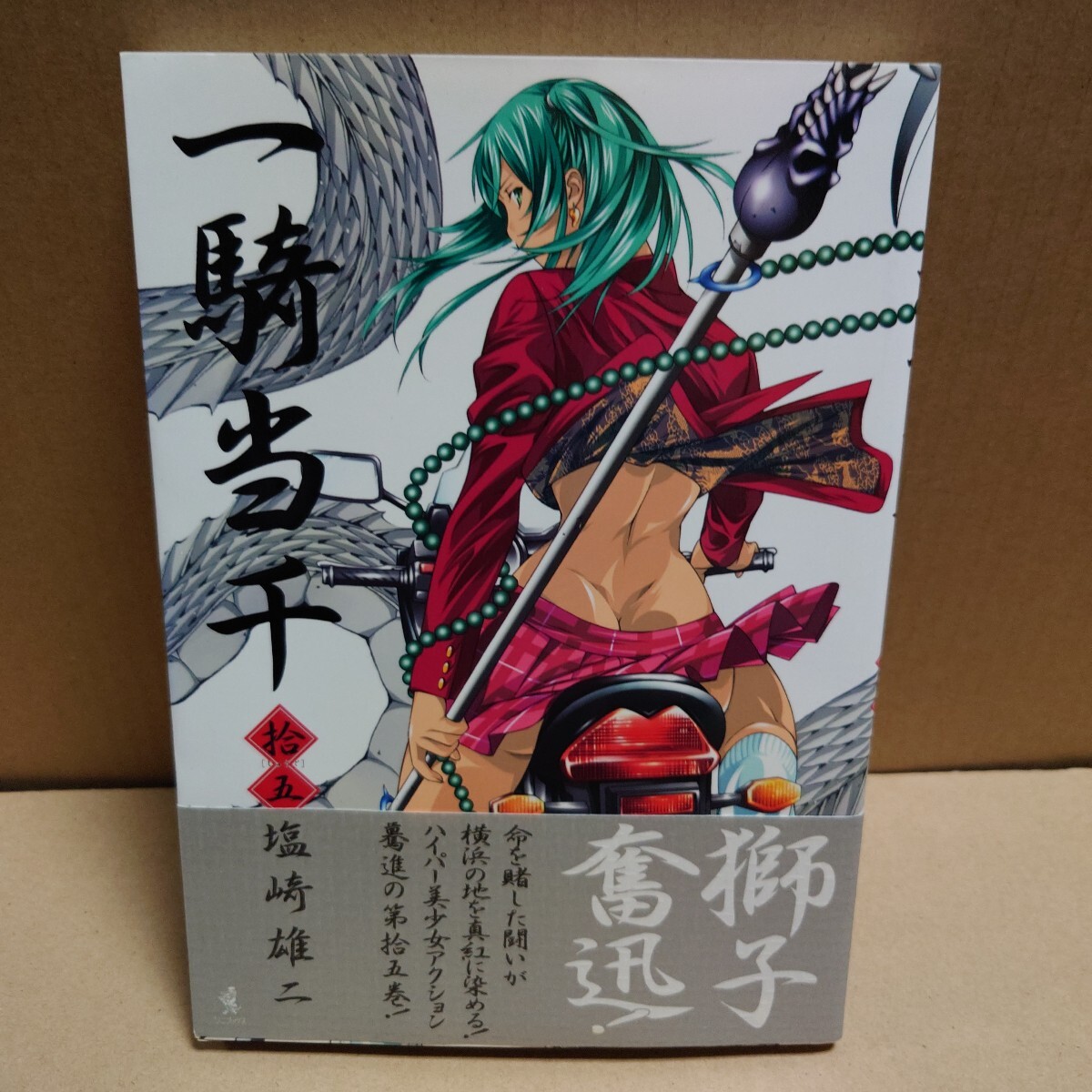 一騎当千 拾五巻 塩崎雄二 ワニブックス 2009年4月10日 初版発行拍卖