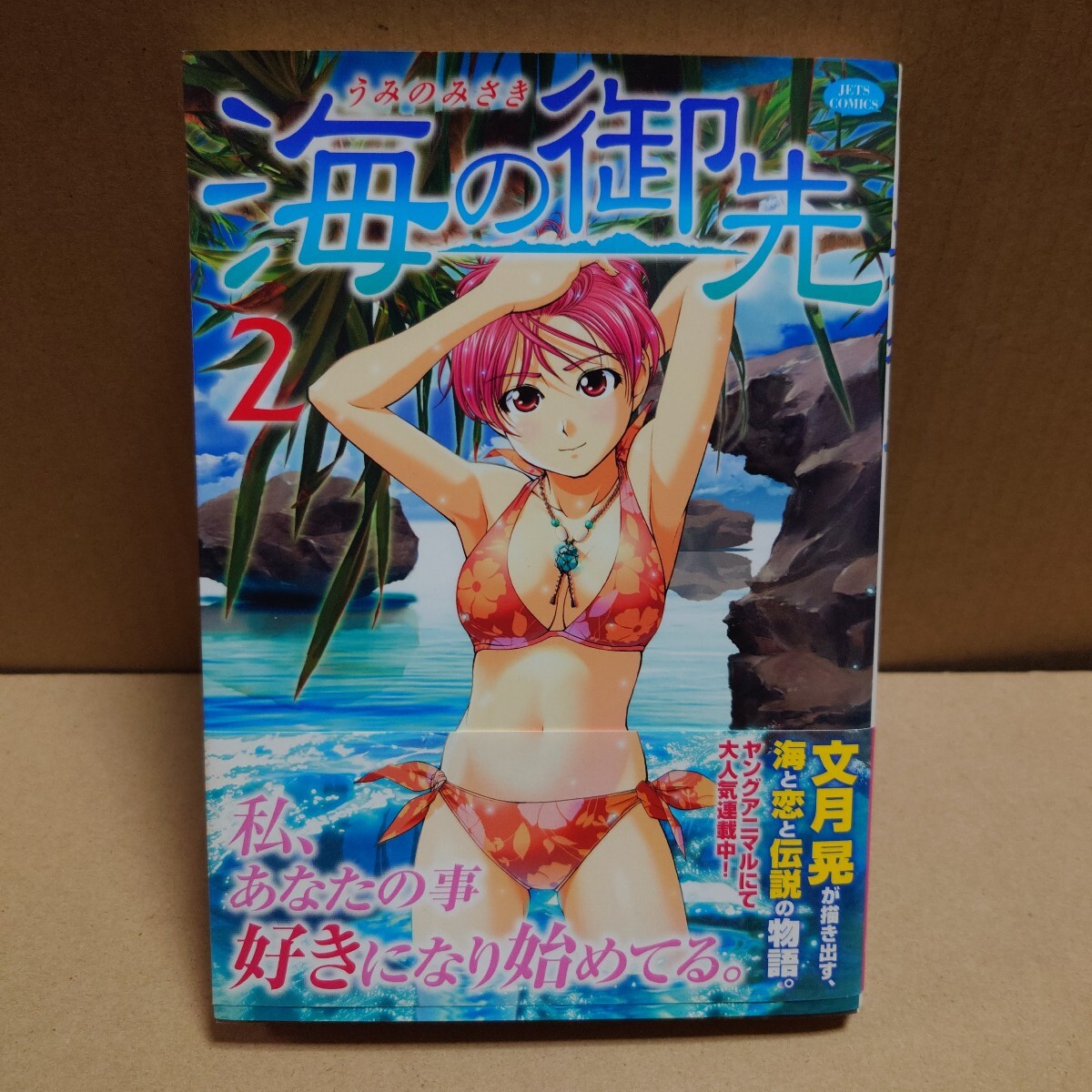 海の御先 2巻 文月晃 白泉社 JETS COMICS 555 2008年4月5日第1刷発行 4482 拍卖