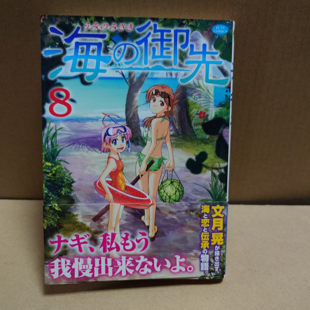 海の御先 8巻 文月晃 白泉社 JETS COMICS 703 2010年9月5日第1刷発行 44888拍卖
