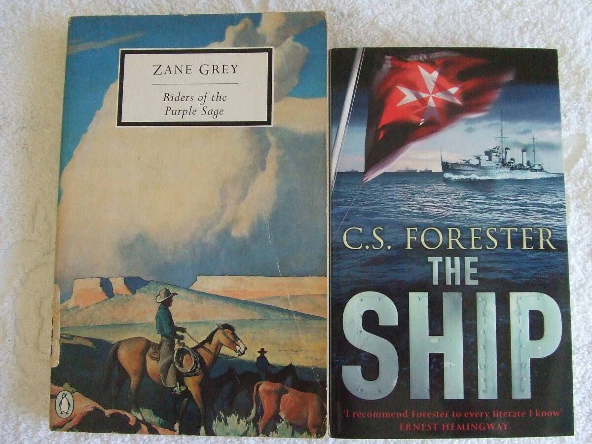 L美品 ★★★アメリカ洋書 ハードカバー×2冊★★★ 多読用まとめ売り 未読品 ◆◆送料無料◆◆英語ハードカバー・リーディング拍卖