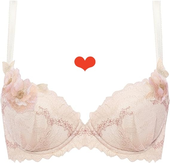 トリンプ プレミアム レッドレーベル0094 ブラジャー E70拍卖