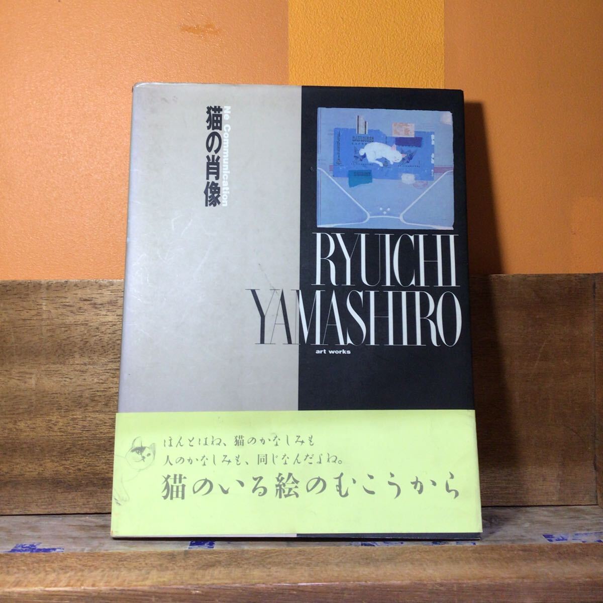 @7 猫の肖像 山城隆一 帯付 絶版 画集拍卖