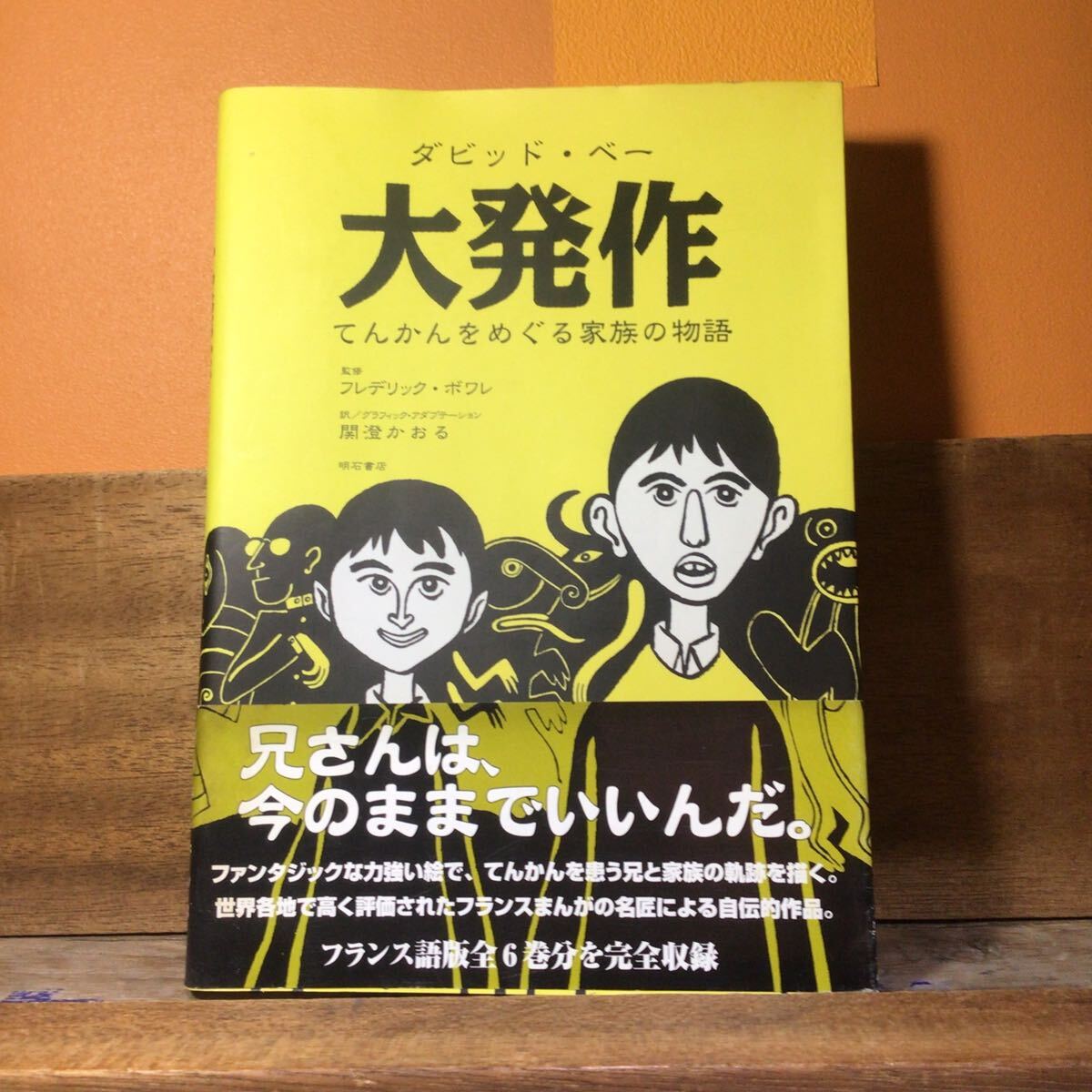 大発作 てんかんをめぐる家族の物語 ダビッド・ベー/作 フレデリック・ボワレ/監修 関澄かおる/訳グラフィック・アダプテーション 拍卖