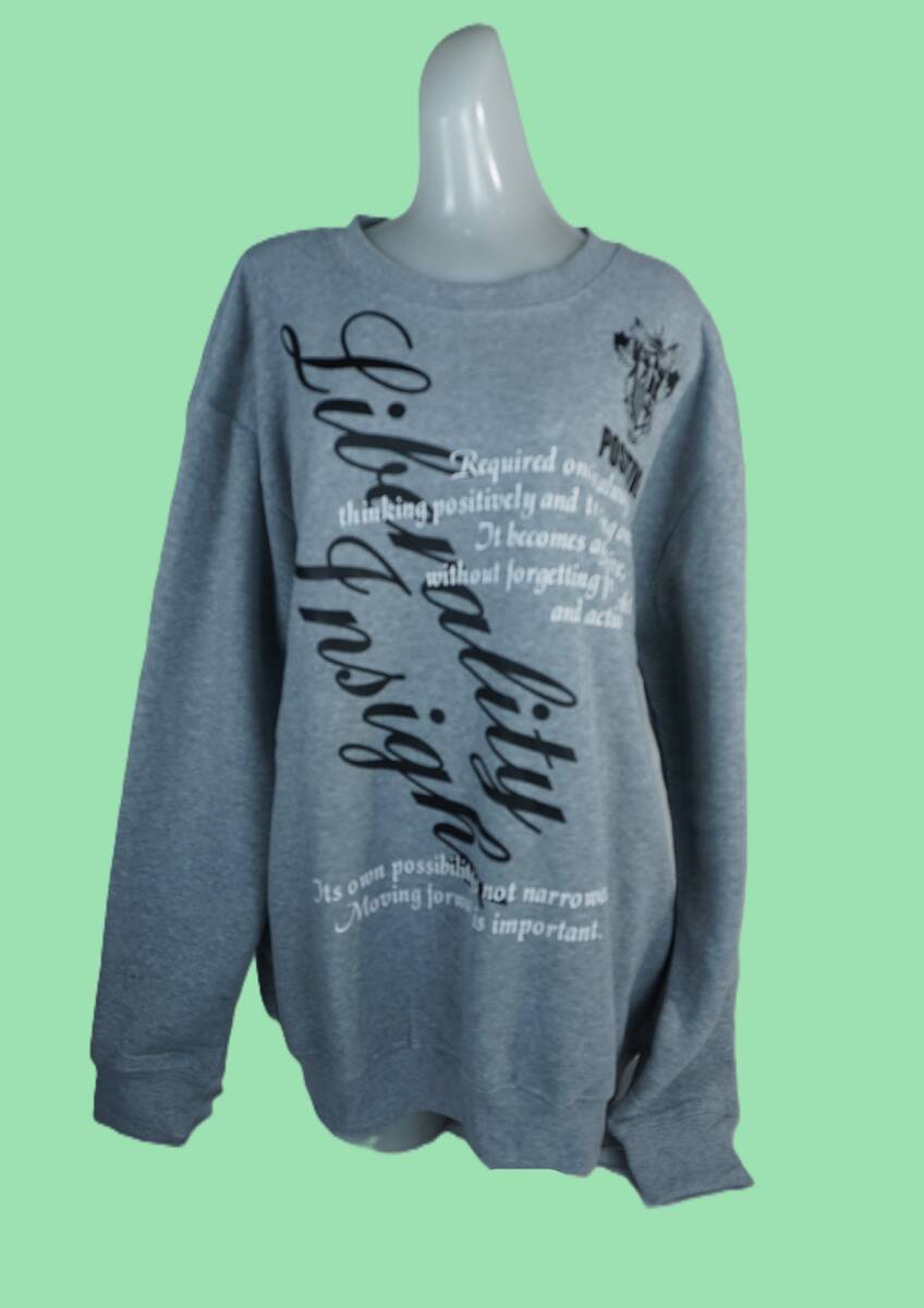 Natural Clothes Style 12404 杢グレー 3Lサイズ 裏起毛トレーナー ポリエステル100% Bigシルエット 新品 拍卖