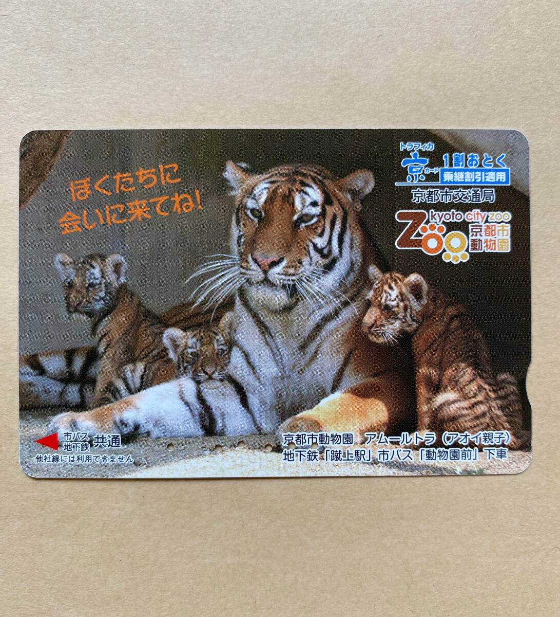 【使用済】 トラフィカ京カード 京都市交通局 京都市動物園 アムールトラ (アオイ親子)拍卖