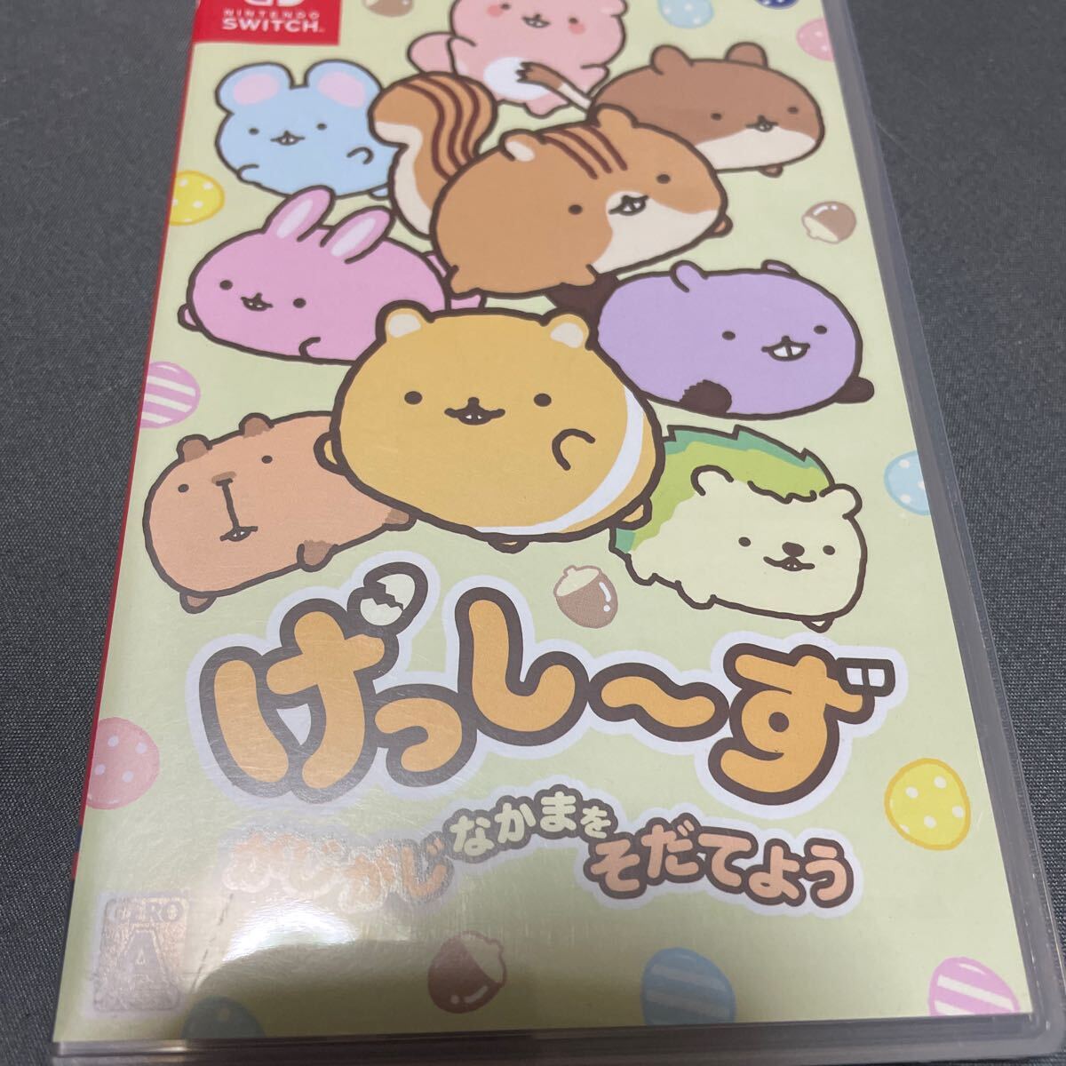 げっし~ず がじがじなかまをそだてよう ニンテンドースイッチ Switchソフト 中古拍卖