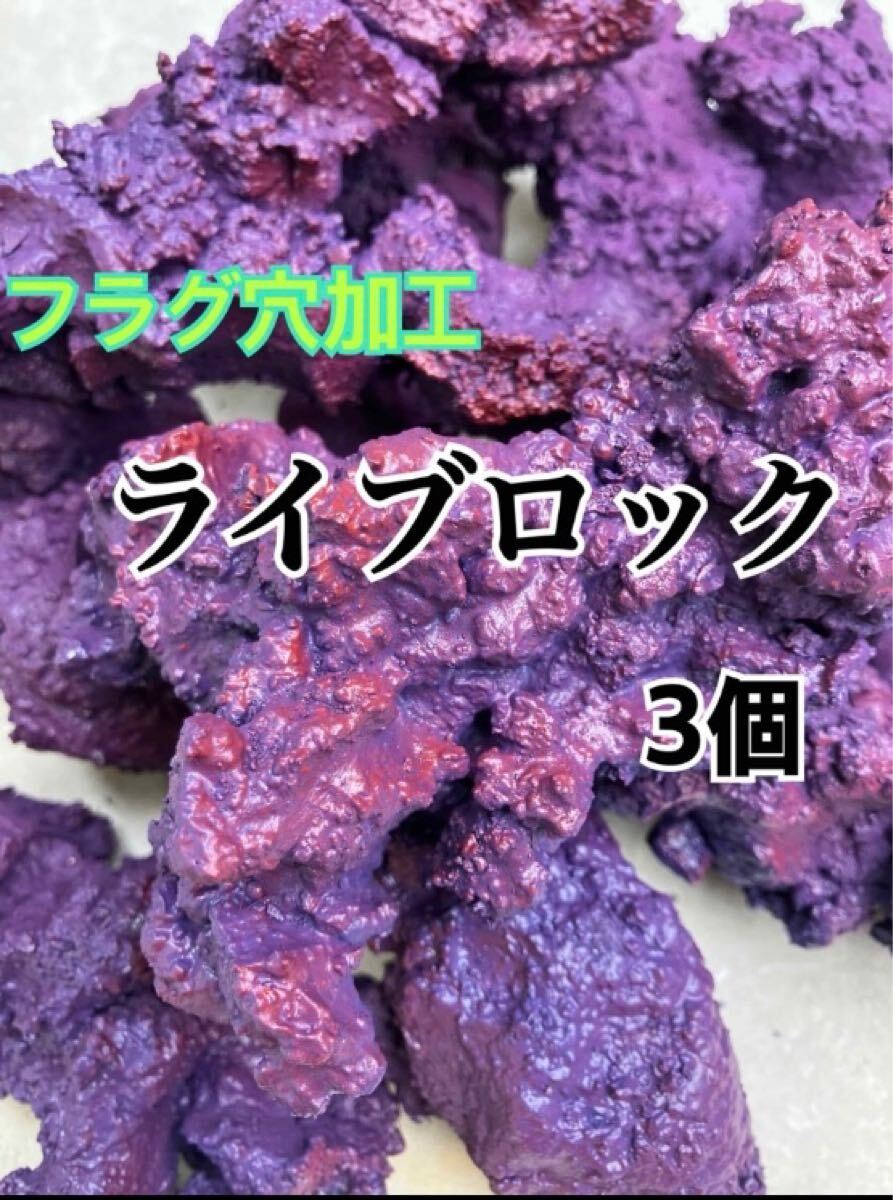 【フラグ穴加工】【送料無料】ライブロック 3個拍卖