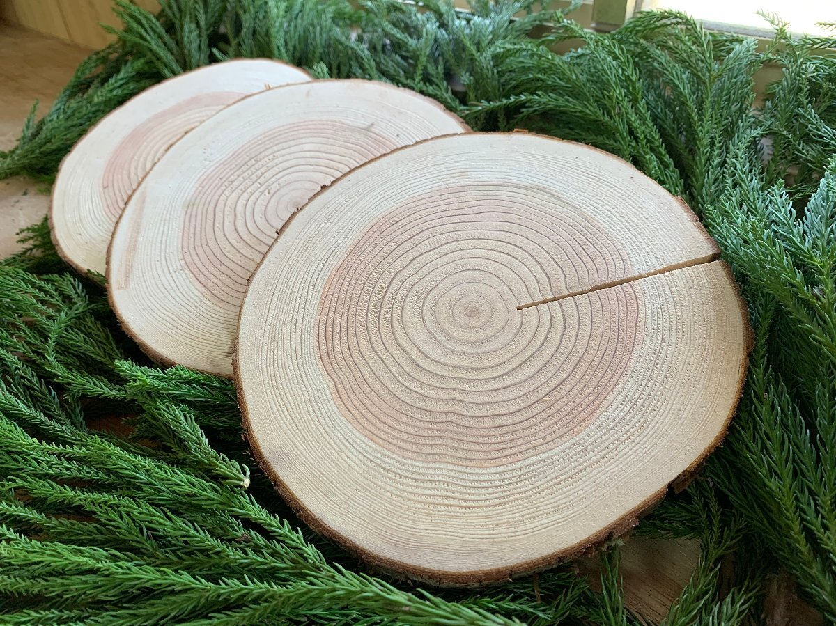 (皮付き) 丹波産 杉 直径17~20cm 厚さ2cm 3枚セット拍卖